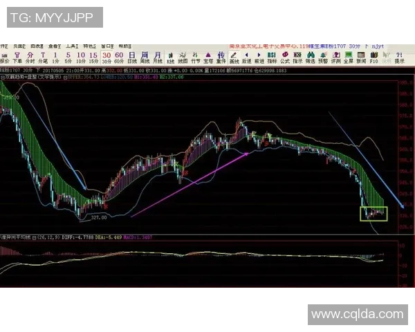 南京网球队在全国锦标赛中的速度表现分析与点评