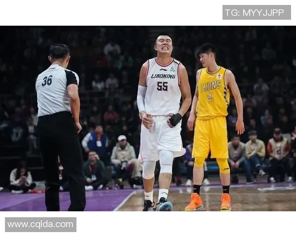 北京排球队灵活性引发热议球迷与专家观点碰撞激烈