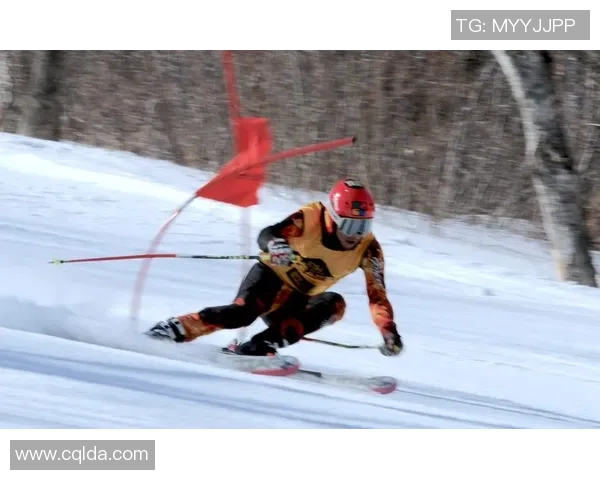 周磊独家分享乒乓球技巧与心得助你提升竞技水平